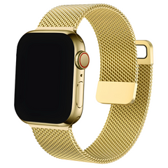 Innerlight® Magnetic - Goud - 42/44/45/49mm